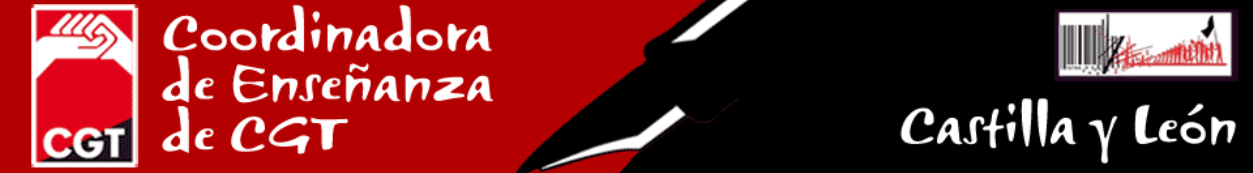 coordinadora eneñanza cyl
